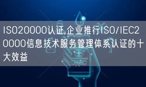 ISO20000認(rèn)證,企業(yè)推行ISO/IEC20000信息技術(shù)服務(wù)管理體系認(rèn)證的十大效益(10)