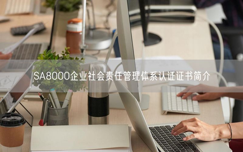 SA8000企業(yè)社會責(zé)任管理體系認證證書簡介(0)