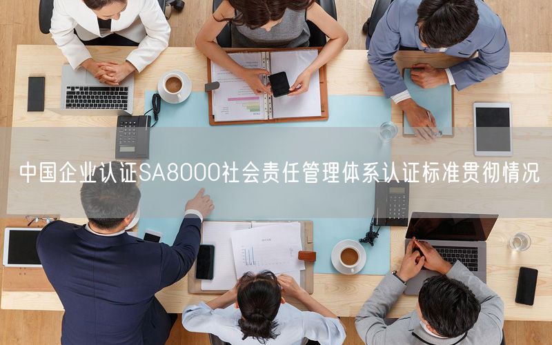 中國企業認證SA8000社會責任管理體系認證標準貫徹情況(0)