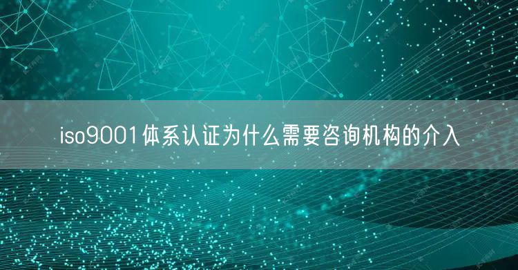 iso9001體系認(rèn)證為什么需要咨詢(xún)機(jī)構(gòu)的介入(10)