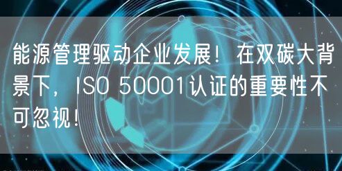 能源管理驅(qū)動企業(yè)發(fā)展！在雙碳大背景下，ISO 50001認(rèn)證的重要性不可忽視！(6)